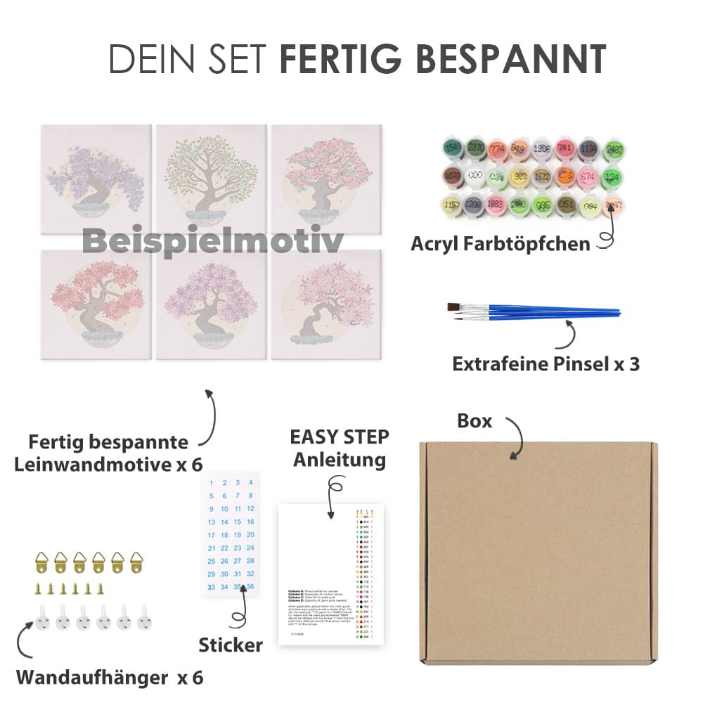 Herz Edition 6er SET - Malen nach Zahlen includes 6 canvases, paint pots, brushes, wall hangers, instruction booklet, stickers, and a box.