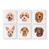 Six painted dog portraits on white canvases from the Hunde Edition Zwei 6er SET - Malen nach Zahlen. Mini Kunst.